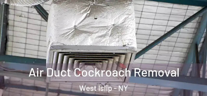  Air Duct Cockroach Removal West Islip - NY