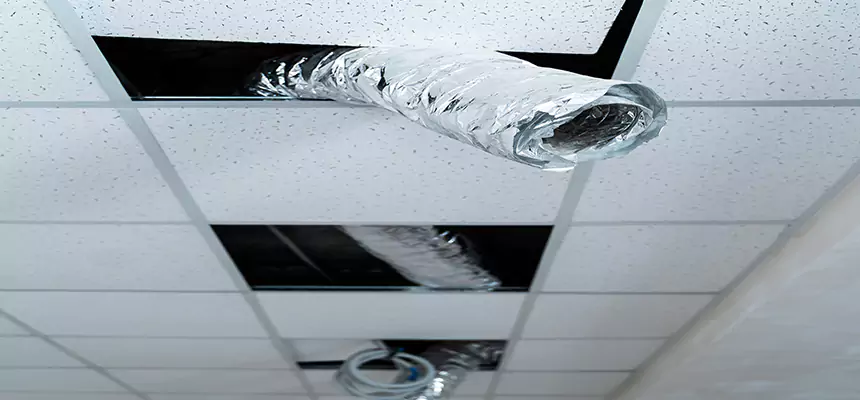 Affordable HVAC Sanitizing After Pest Removal in West Islip