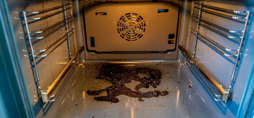 Our Dryer Vent Mold Cleaning Services in West Islip, NY