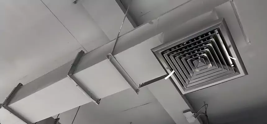 Our Rodent Droppings In Vents Services in West Islip, NY