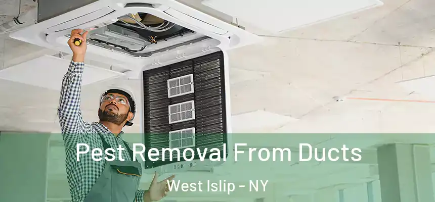 Pest Removal From Ducts West Islip - NY