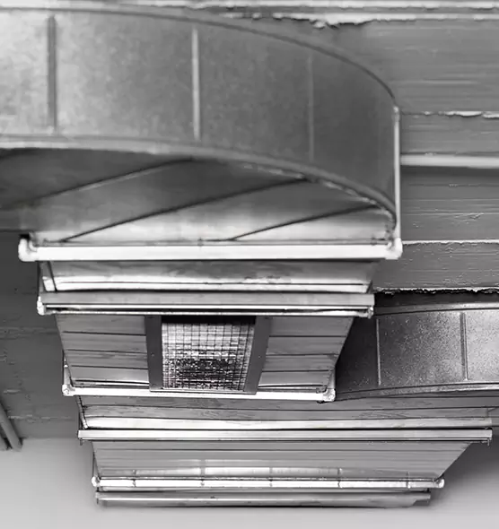 Professional Air Duct Pest Removal in West Islip, NY