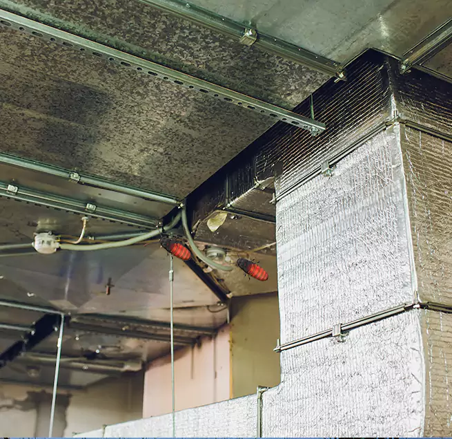 Why Homeowners & Businesses Trust Us in West Islip, NY?